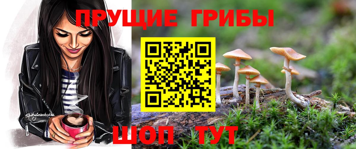 где купить наркотик  Галлюциногенные грибы Cubensis  Вход с VPN  Советск 